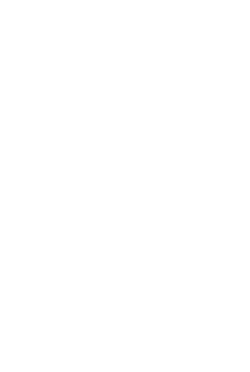 Architektur2 Musterwebsite